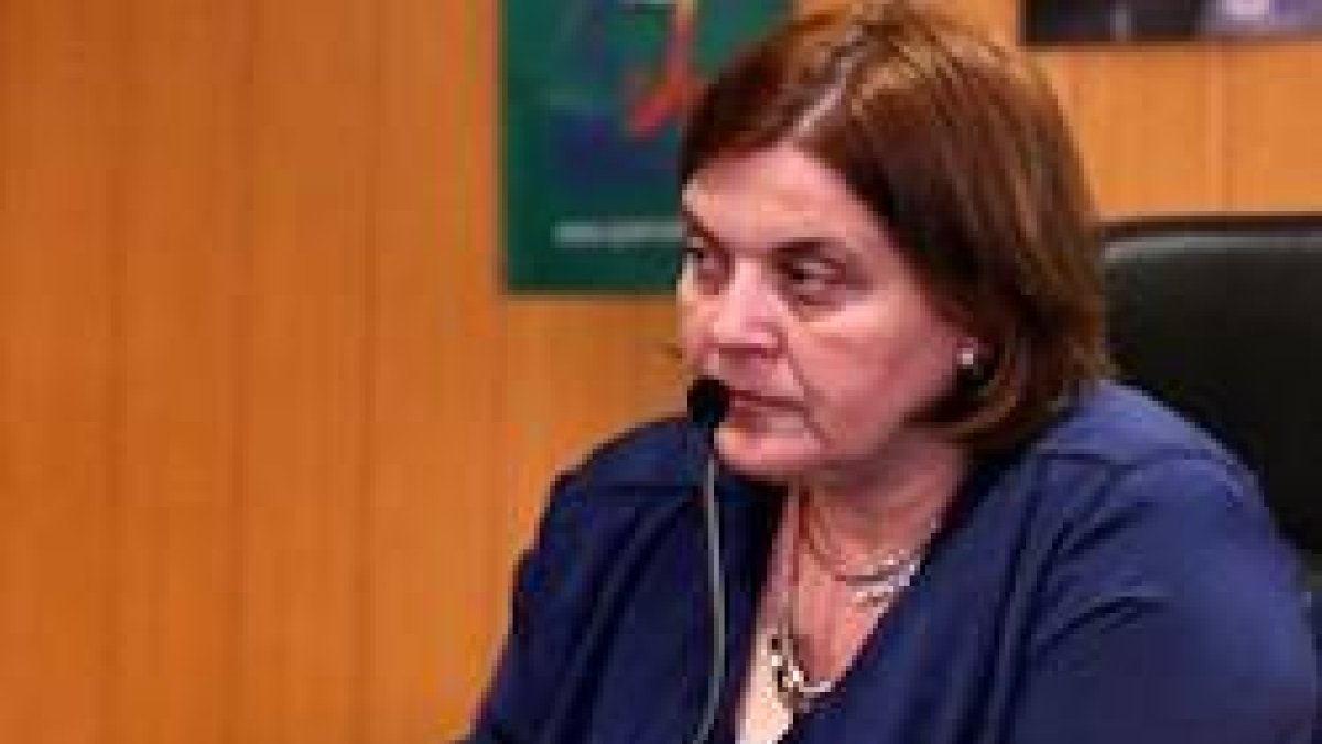 María José Mansilla, presidenta del Proyecto Raquel, en un curso de capacitación de voluntarios de la asociación en Valencia, en 2016.