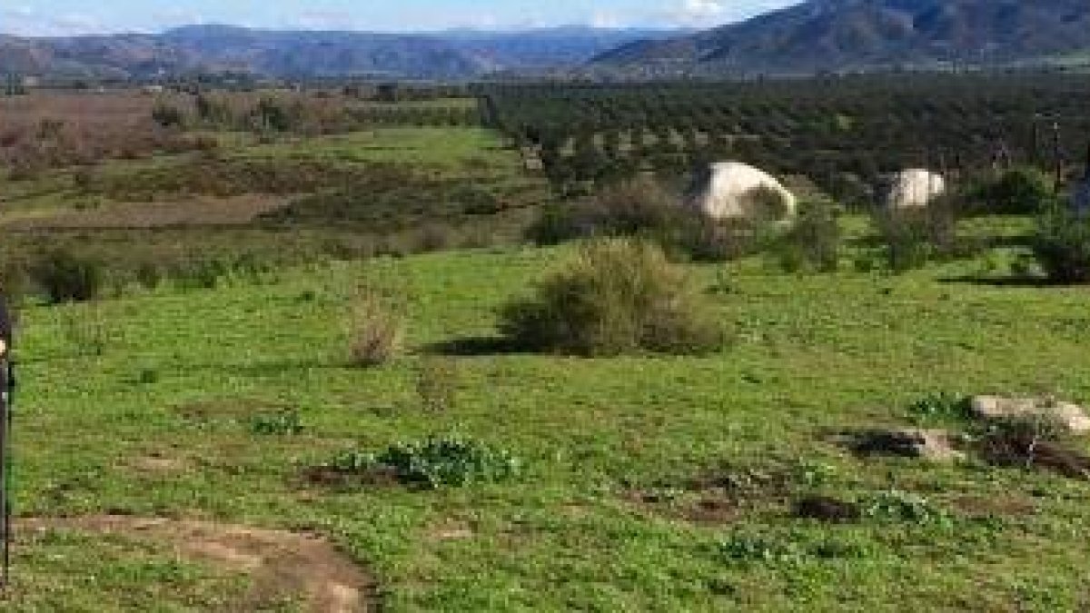 Mike y su esposa han adoptado la espiritualidad austera del peregrino, escuchar a Dios, dejarse asombrar, agradecer lo que hay