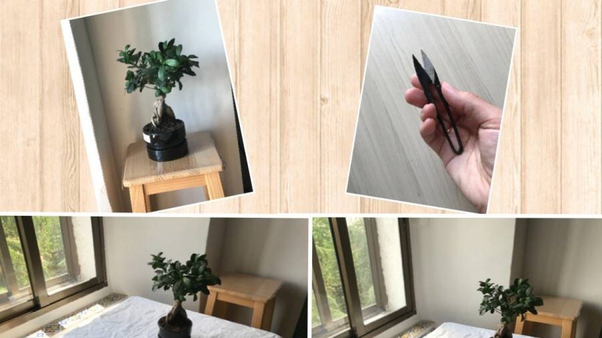 Hoy el reto del amor es ponerse en manos de Jesucristo