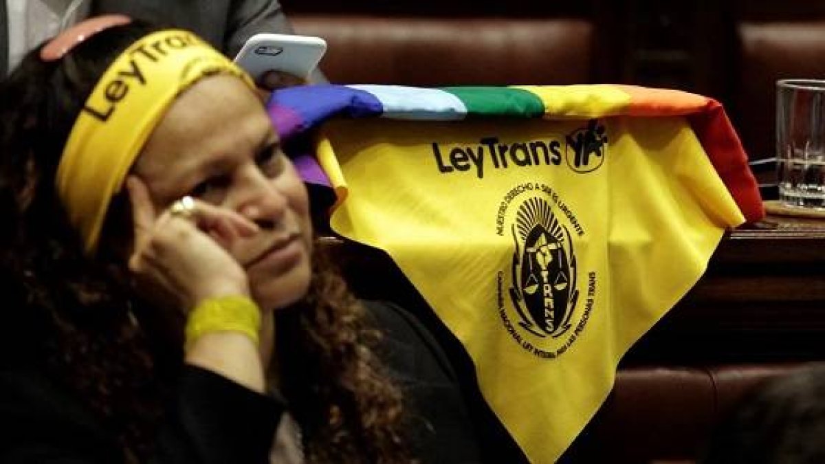 Una diputada uruguaya en el Parlamento con varios pañuelos a favor de la Ley Trans