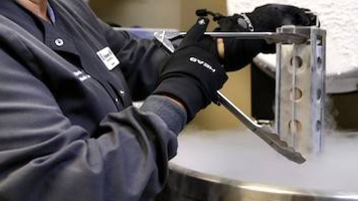 Cientos de miles de embriones congelados son abandonados cuando sus padres dejan de pagar el almacenamiento.
