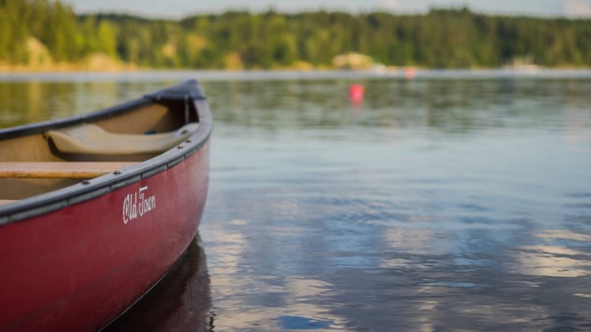 Renovación y Evangelización