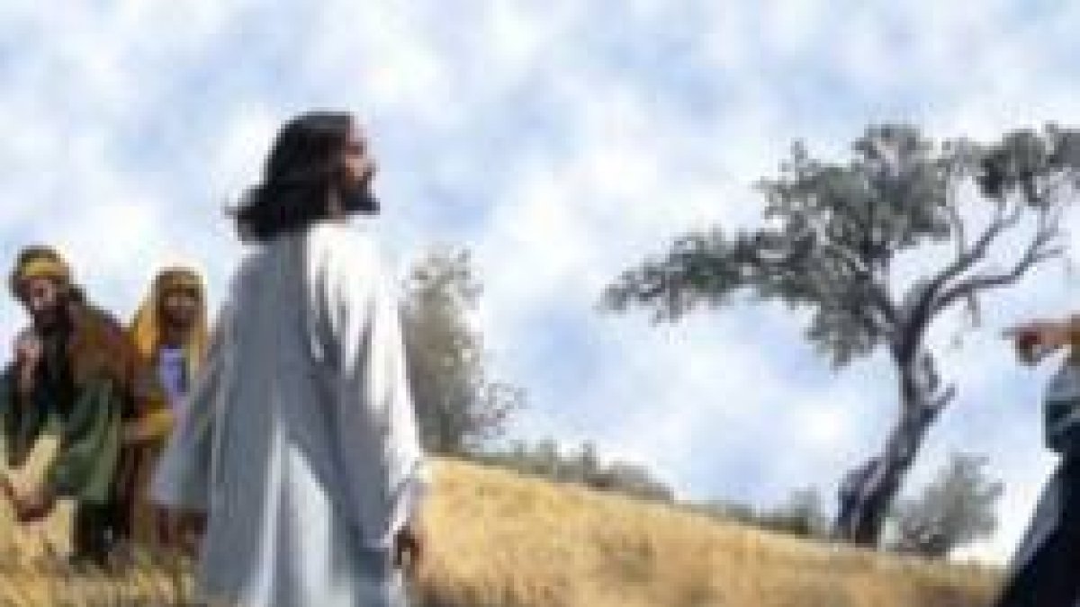 El Hijo del Hombre es señor del sábado