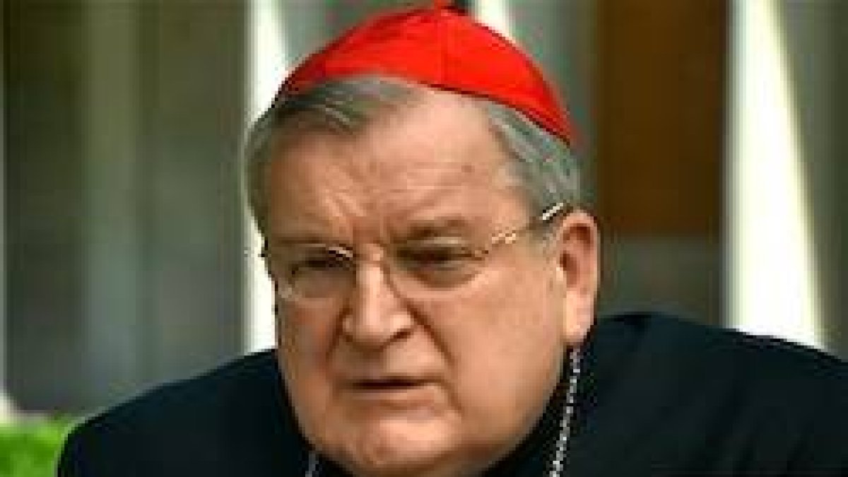 El cardenal Burke lamentó el «escándalo»  con el que muchos políticos católicos confunden a otros que no lo son sobre cuál es la doctrina de la Iglesia.