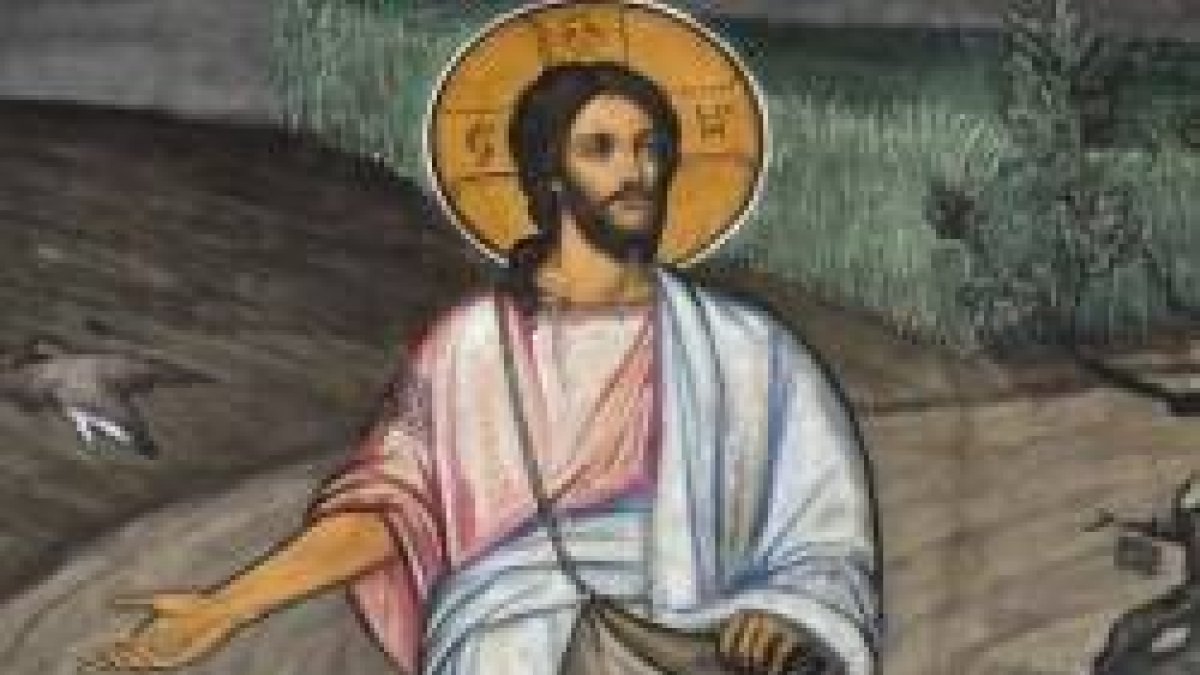 Cayó en tierra buena y dio grano