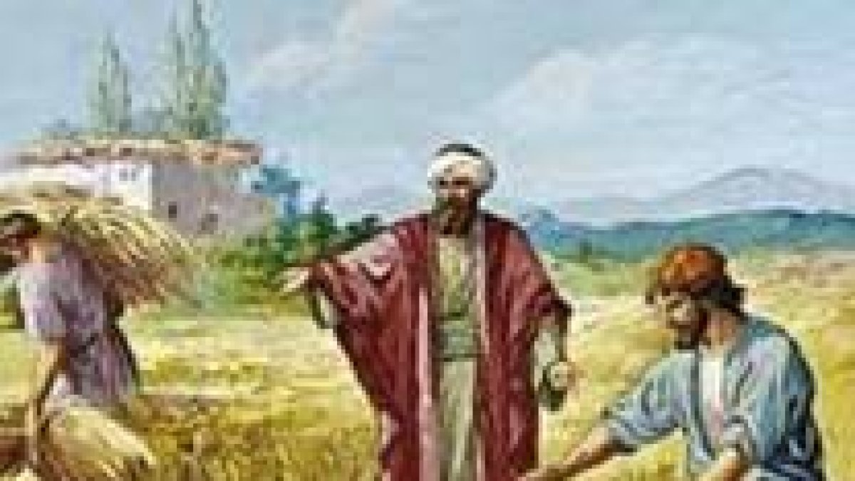 ¿De dónde sale la cizaña?