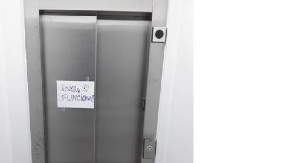 Hoy el reto del amor, es dejar a “nuestro ascensor”,