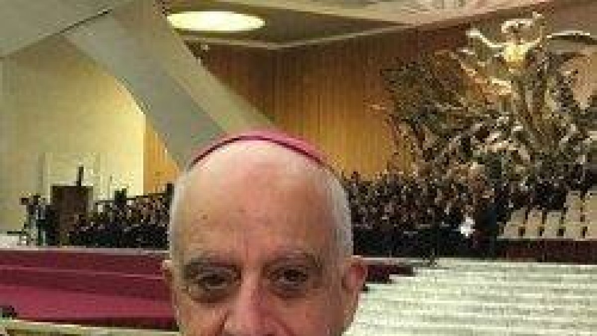 Fisichella parece sugerir que con el concepto de rito amazónico se introducen muchas cosas más que retoques litúrgicos