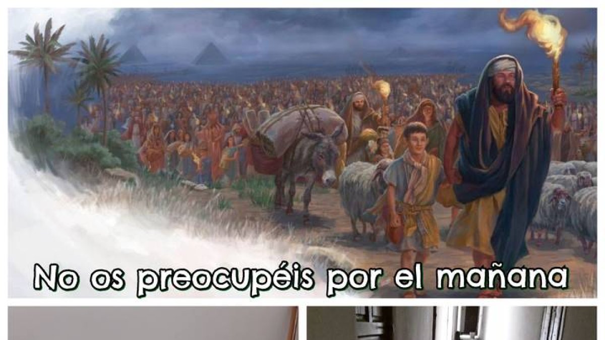 Hoy el reto del amor es dar gracias al Señor