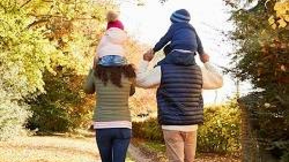 Los problemas relacionados con la familia son totalmente secundarios para los partidos políticos de cara a las elecciones