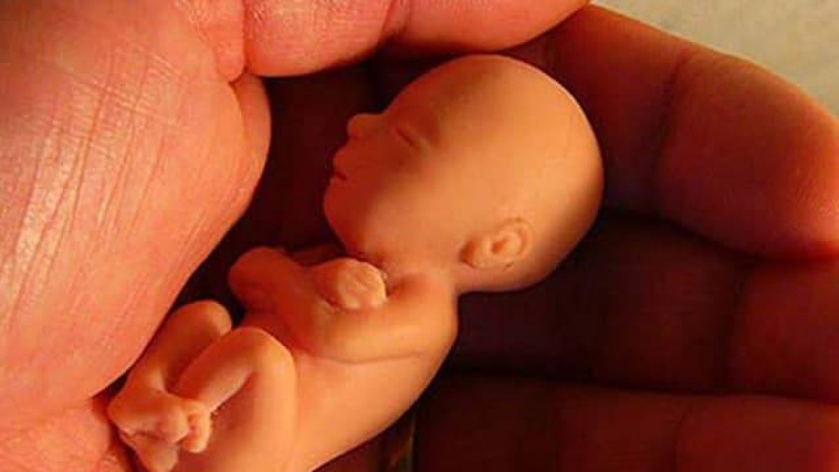 Estados Unidos bloquea el acuerdo de la ONU que intentaba promover el aborto con motivo del COVID-19