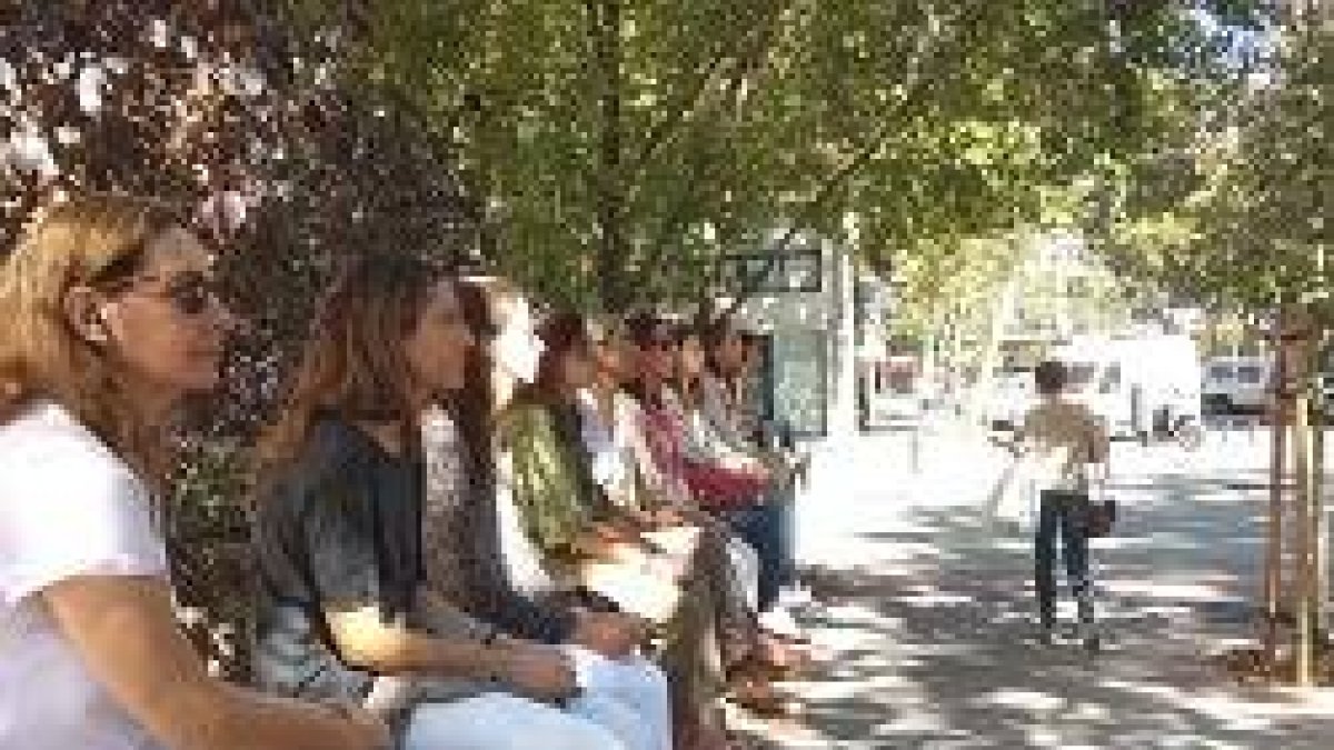 Cientos de personas han participado en esta campaña en Madrid