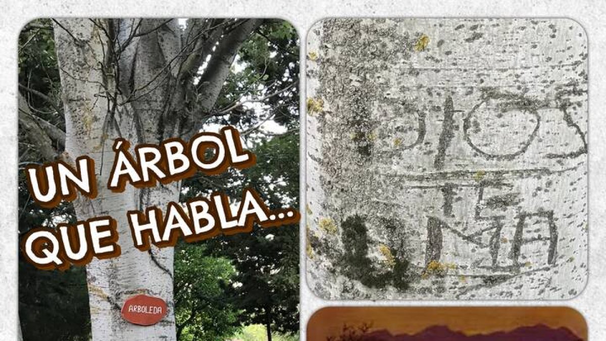 Hoy el reto del Amor es que hagas que “algo hable” del Amor de Dios al que se lo encuentre