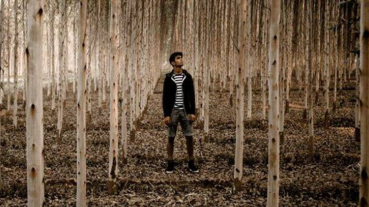 Hay que salir de la parálisis, mirar a lo alto y empezar a caminar con ánimo - foto de Navneet Mahajan, Unsplash