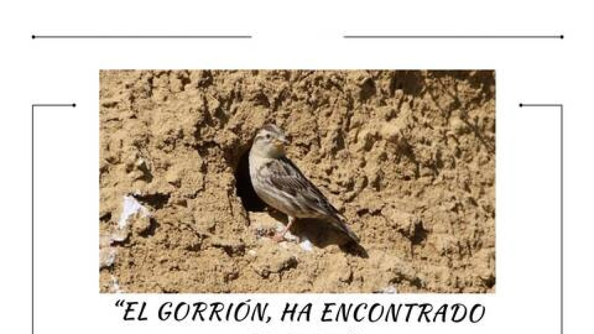 Hoy el reto del amor, es buscar “mi nido” en este verano