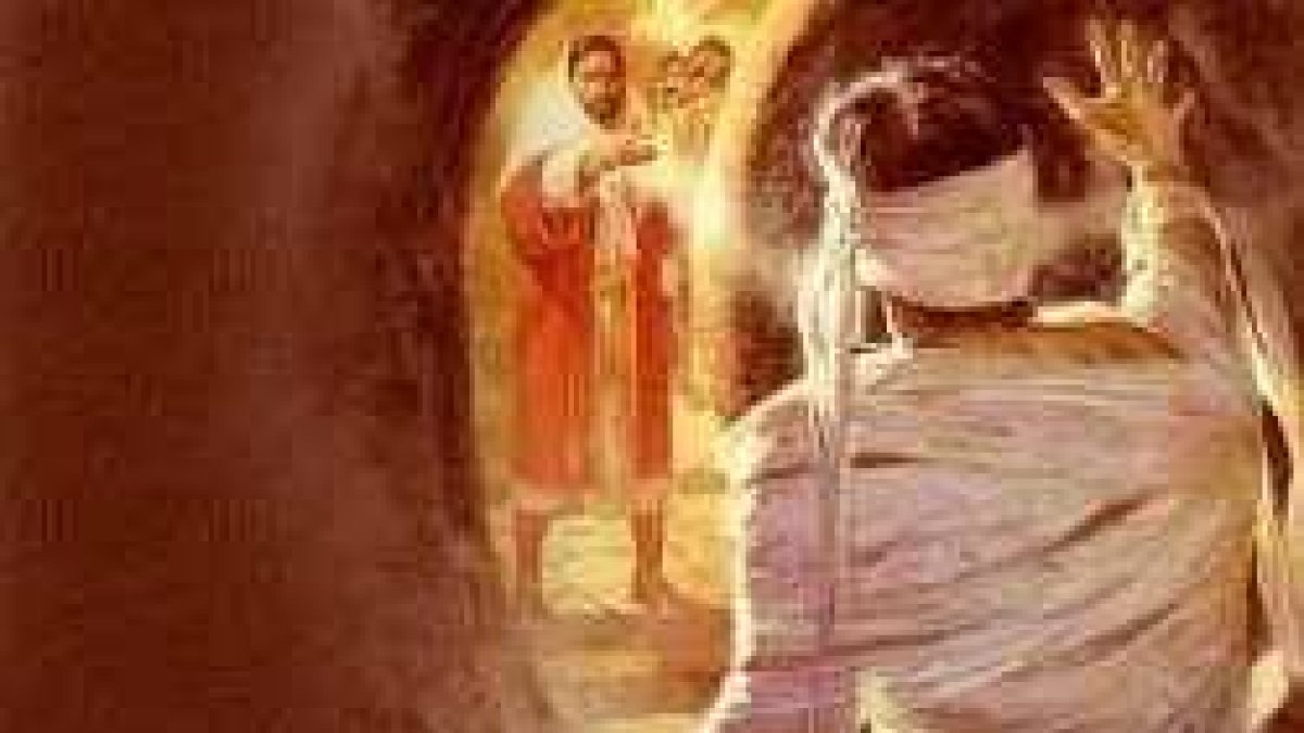 Señor, si hubieras estado aquí