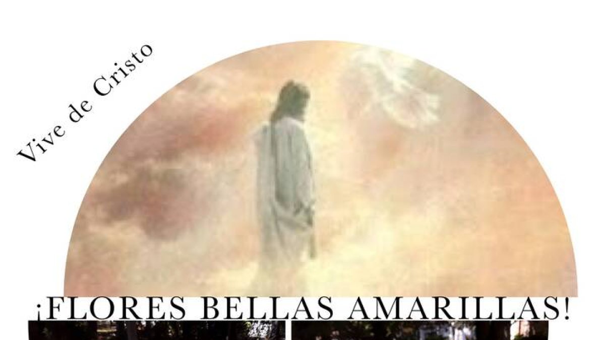 , hoy el reto del amor es... ¡competir con las florecillas