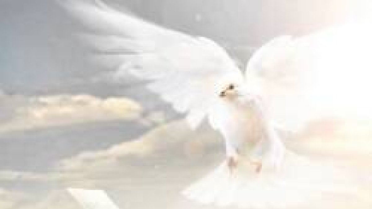 El Espíritu os guiará a la verdad plena