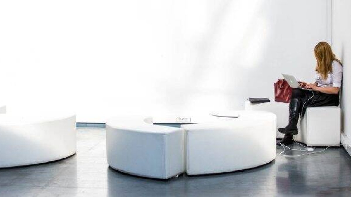 Formación católica en cursos supervisados, en la nueva plataforma Holydemia - foto de Filip Bunkens, en Unsplash