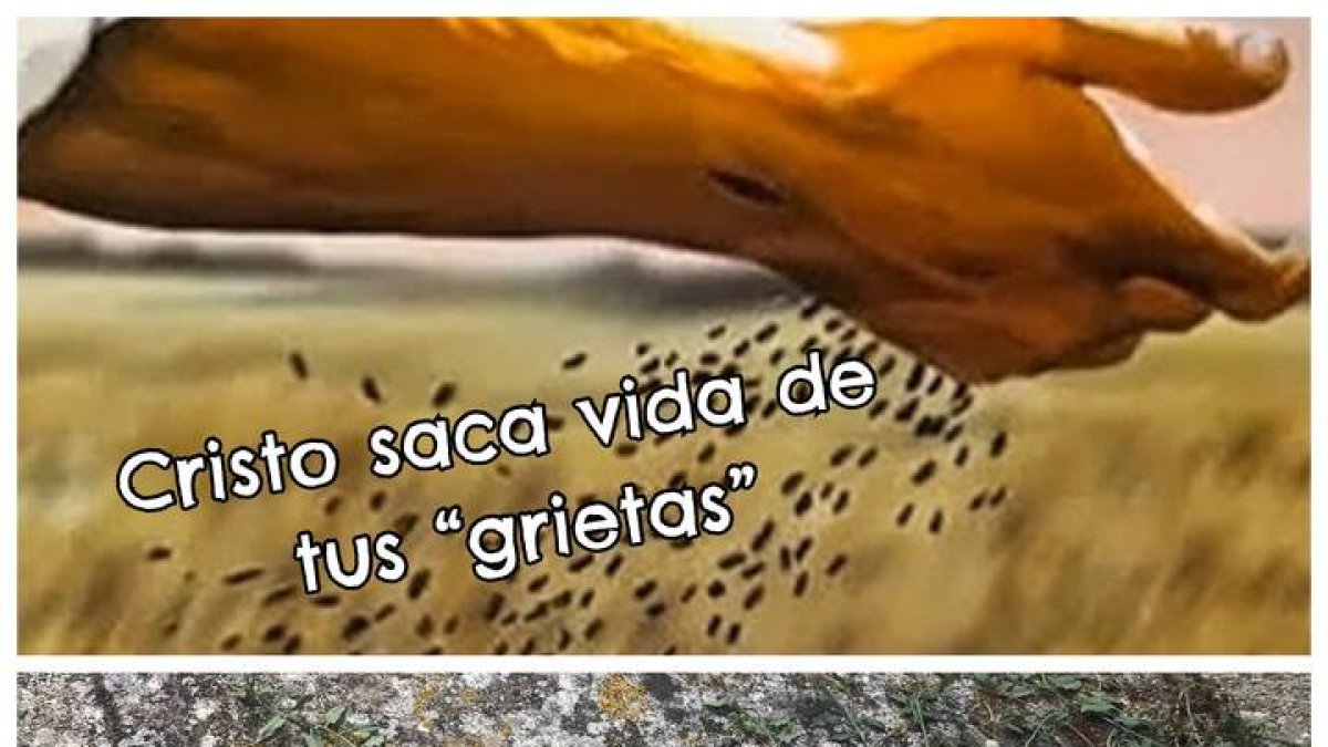Hoy el reto del Amor es que no temas a las grietas de tu cemento,
