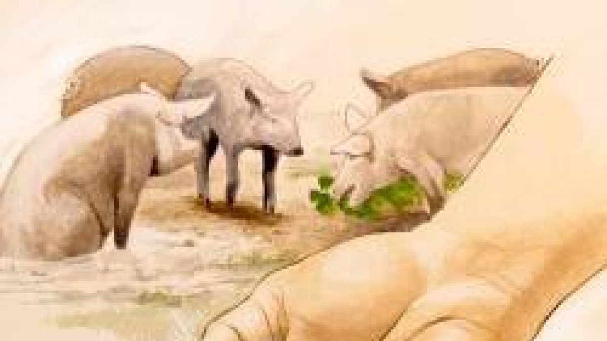 Tratad a los demás como queréis os traten