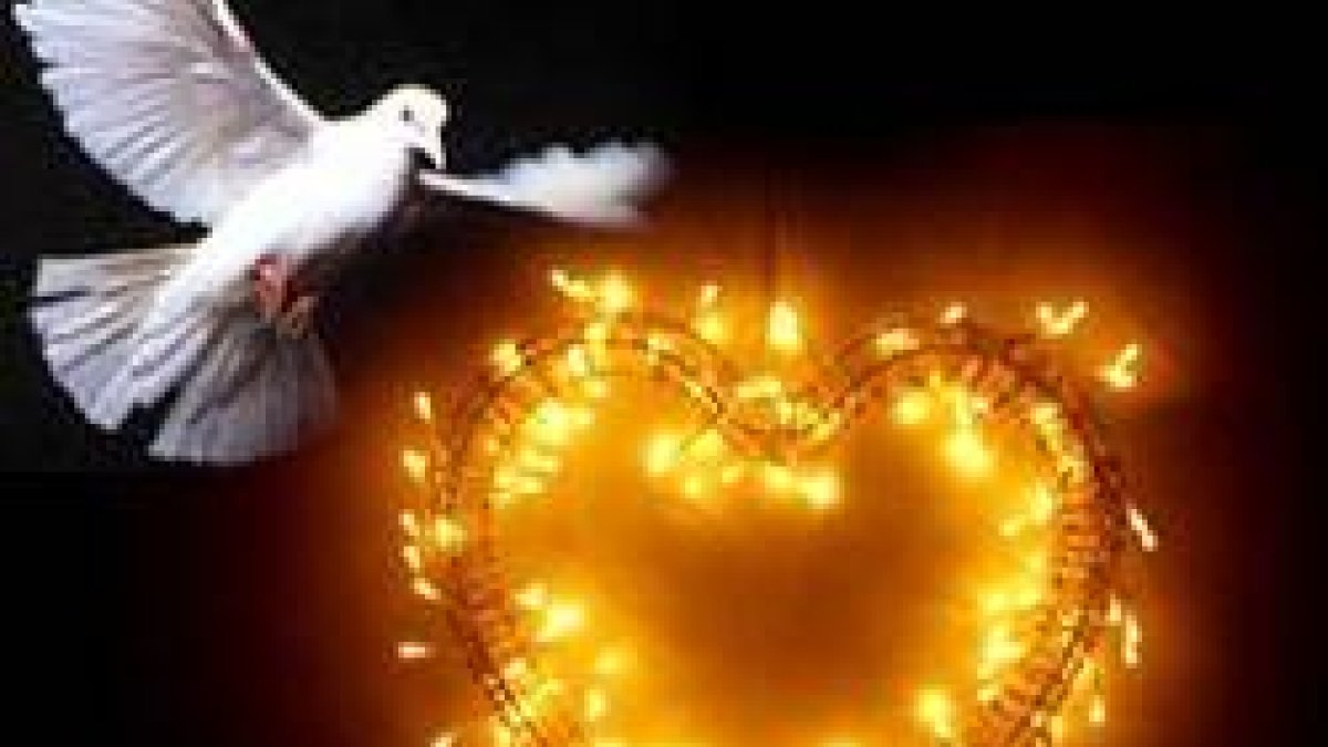 ¡Hice tanto por su Salvación!