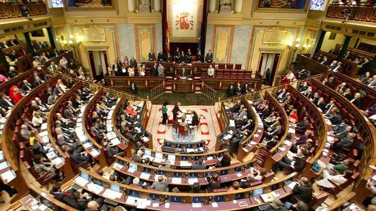 Implementar los principios cristianos en la sociedad exige luchar por una mayoría social que no pueda ser eludida por el Congreso de los Diputados.