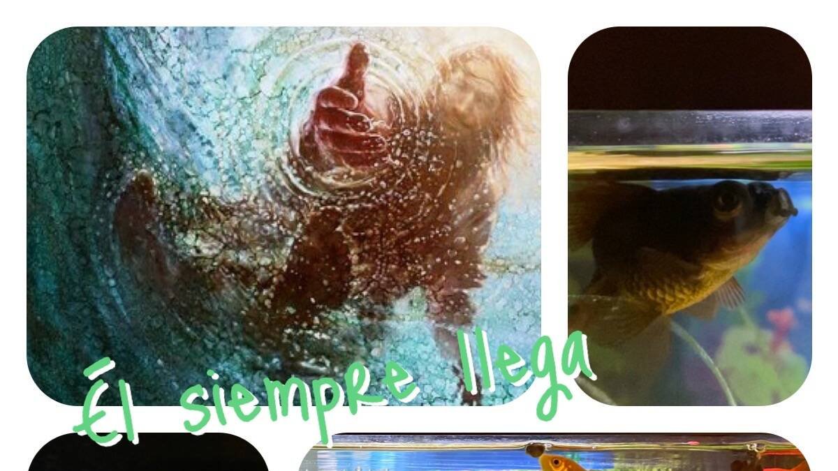 Hoy el reto del amor es esperar recibir eso que tanto estás necesitando