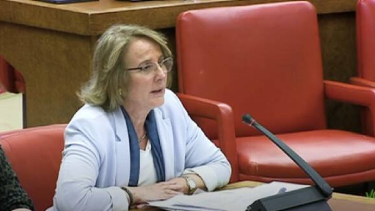 La diputada Lourdes Méndez Monasterio presentó una proposición no de ley contra los vientres de alquiler que todos los otros grupos rechazaron