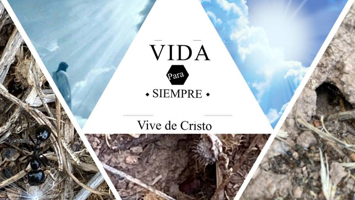 Hoy el reto del amor es mirar un rato el cielo