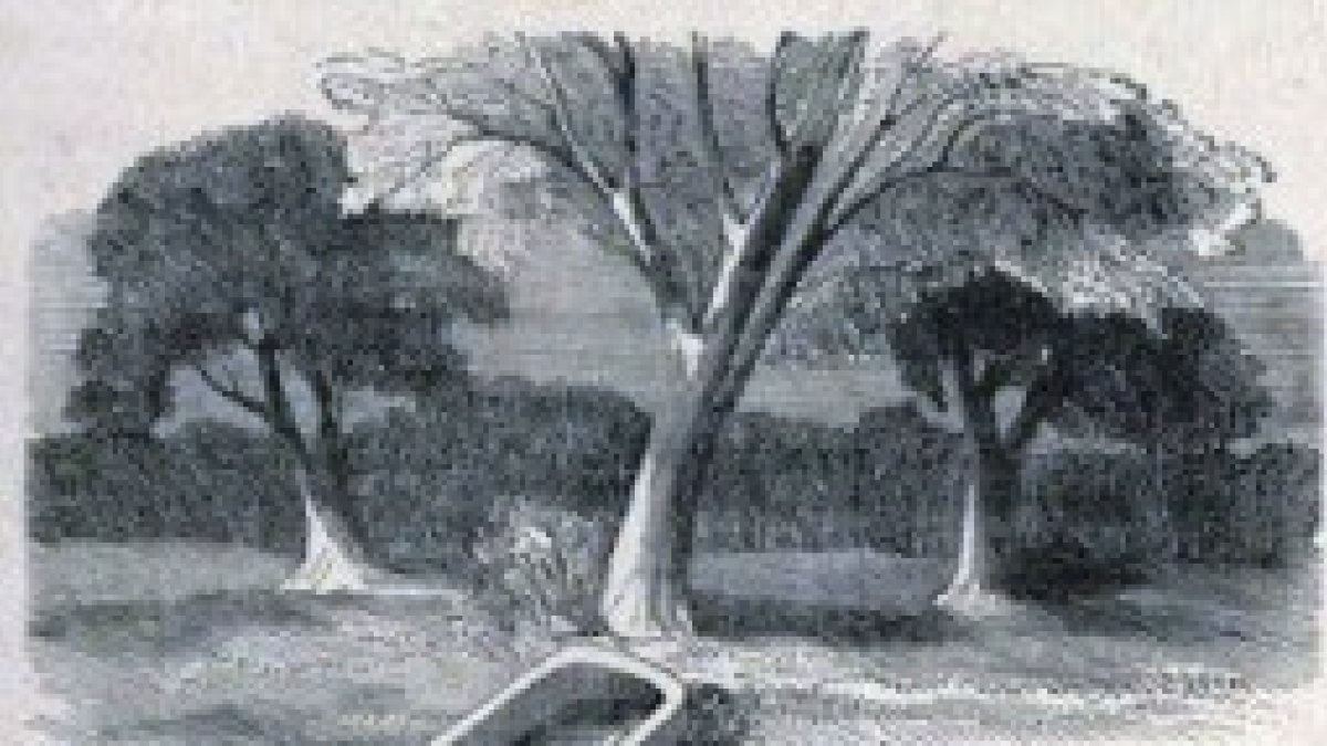 Artesa del santo. Grabado del XIX.