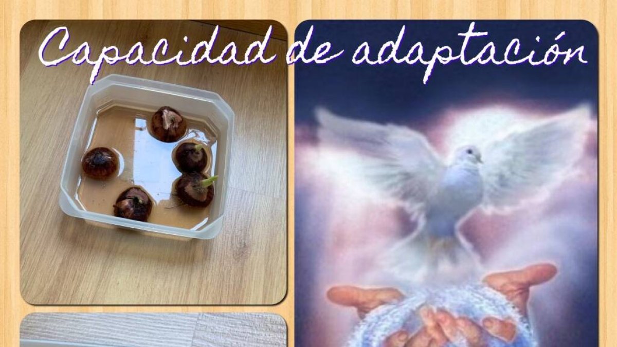 Hoy el reto del amor es que acudas a la Fuente de Agua Viva.