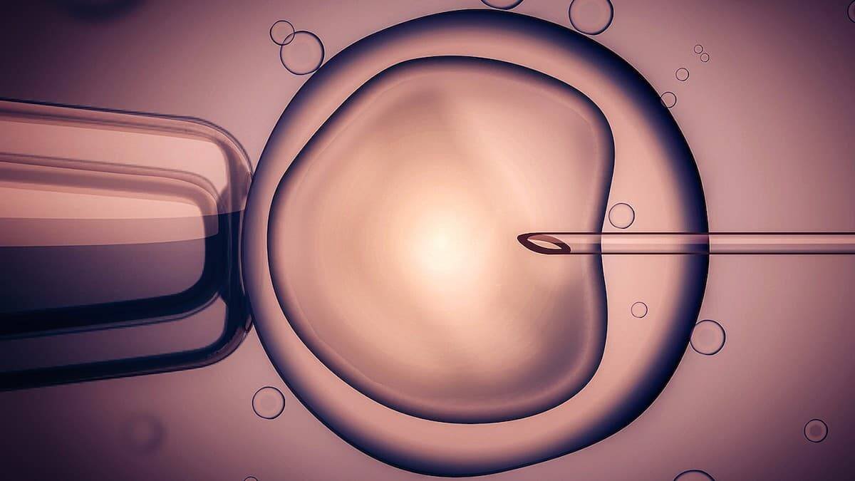 Imagen de una fecundación in vitro. Foto: ACRM Singapur.
