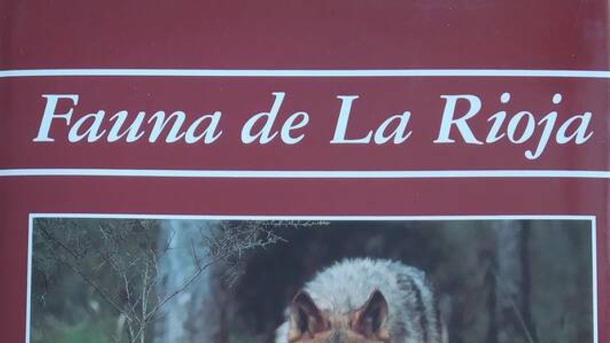 En tierra de lobos