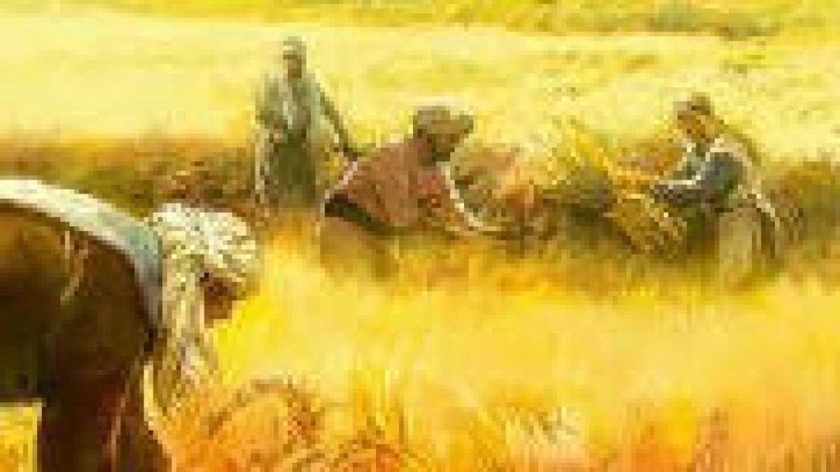 El reino de los cielos se parece a un hombre que sembró buena semilla