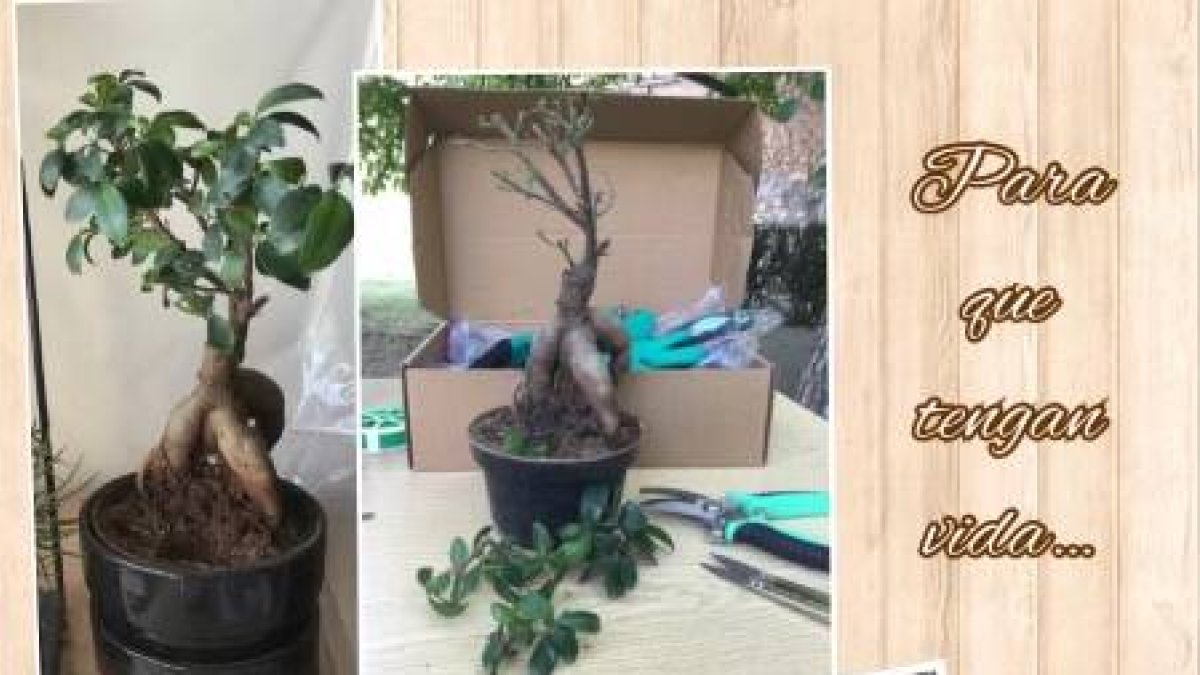 Hoy el reto del amor es desenterrar tu corazón delante del Señor