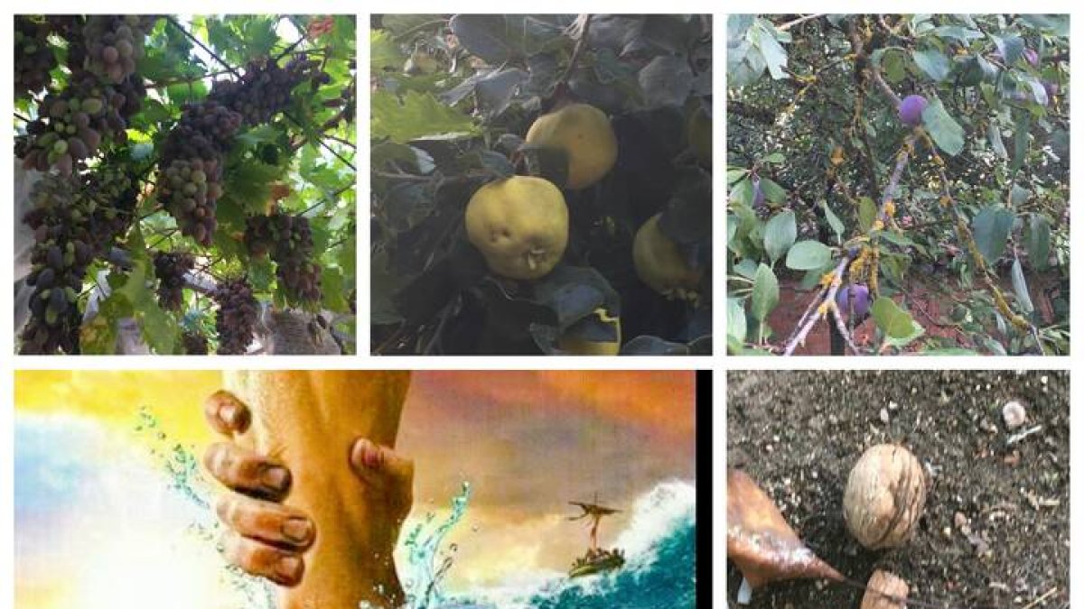 Hoy el reto del amor es que pidas al Señor que “te dé de merendar”.