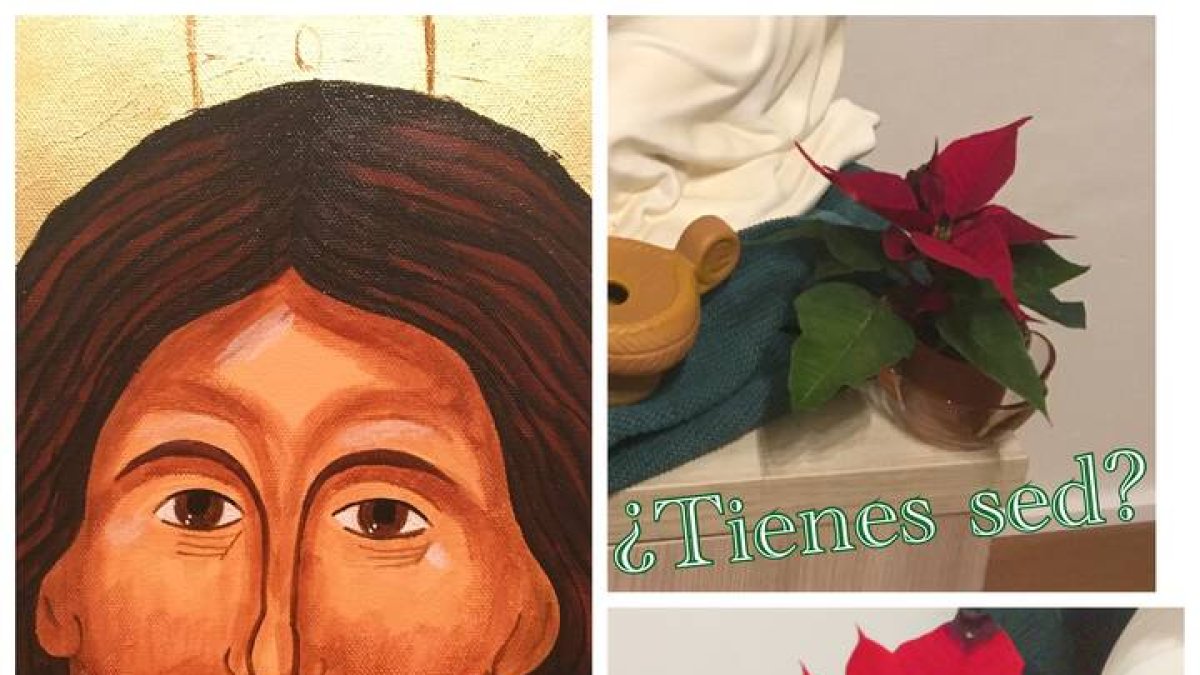 Hoy el reto del amor es que mires cómo está tu planta.