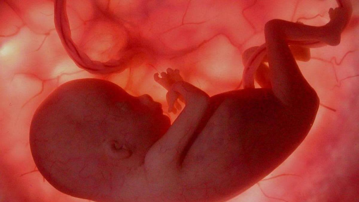 La cuestión del dolor fetal es fundamental que tiene importantes consideraciones bioéticas