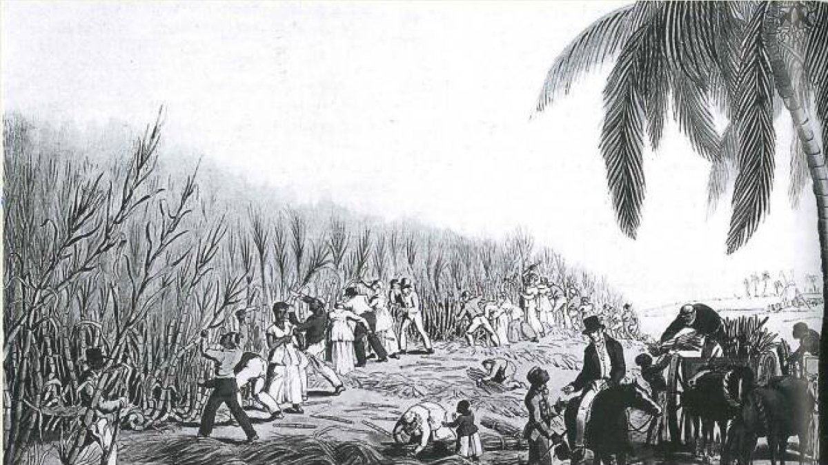 Esclavos negros en las plantaciones azucareras de Trinidad