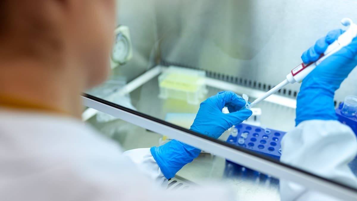 La ciencia experimental nos habla de las cosas, pero no tiene respuesta para el por qué o el para qué de las cosas. Foto: ThisIsEngeneering RAEng / Unsplash.