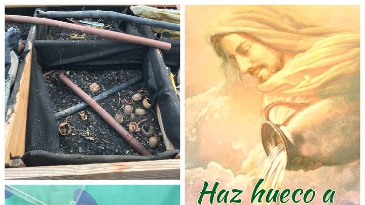 Hoy el reto del Amor es que mires tu guarida