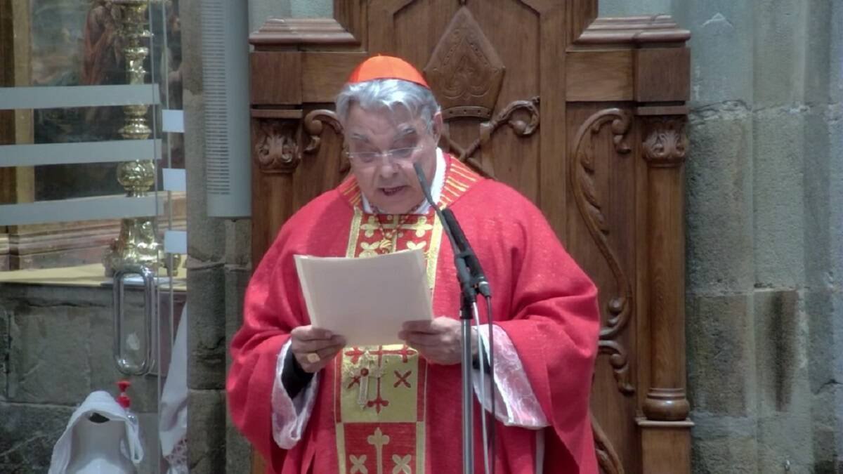 El cardenal Semeraro presidió la beatificación de las tres enfermeras mártires