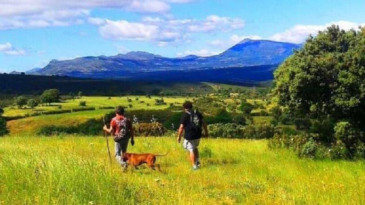 Esta ruta recorre los bellos parajes de la Sierra de Guadarrama en Madrid