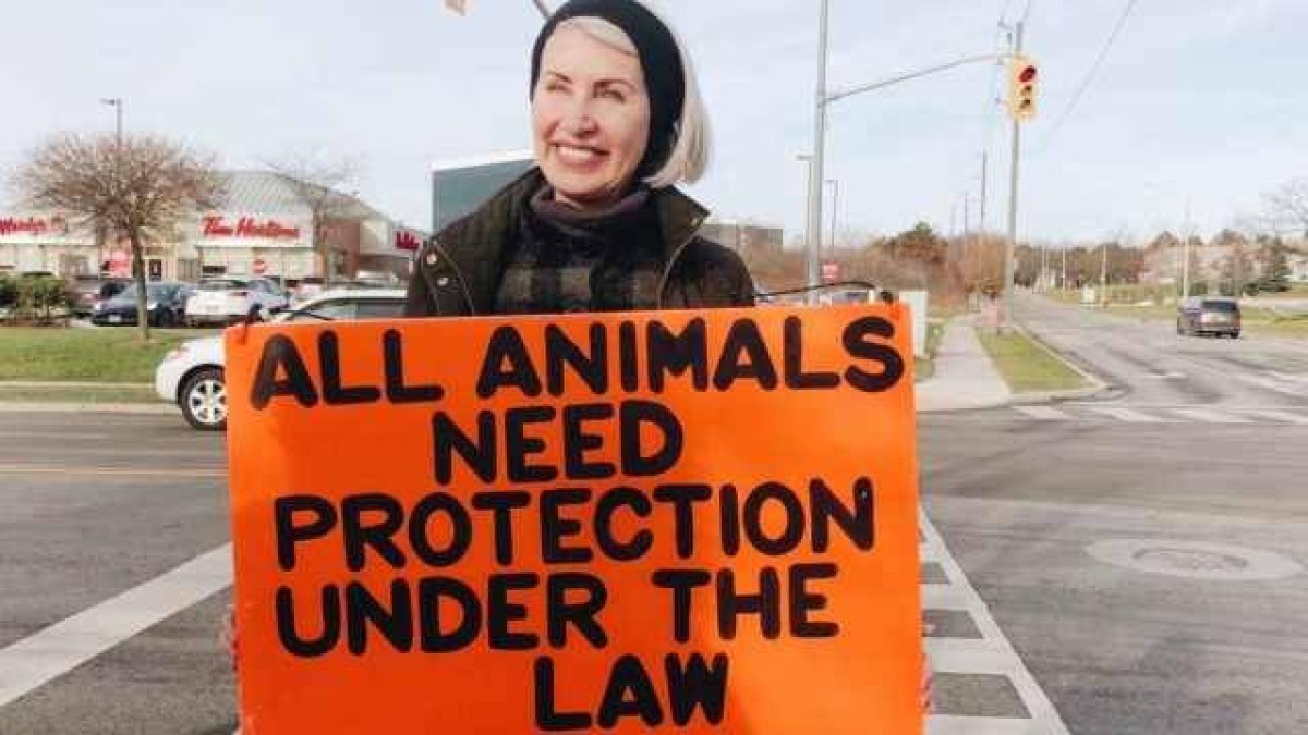 De aprobarse la ley británica de Bienestar Animal, las langostas podrían tener mayores derechos y protección que los niños en el vientre materno.