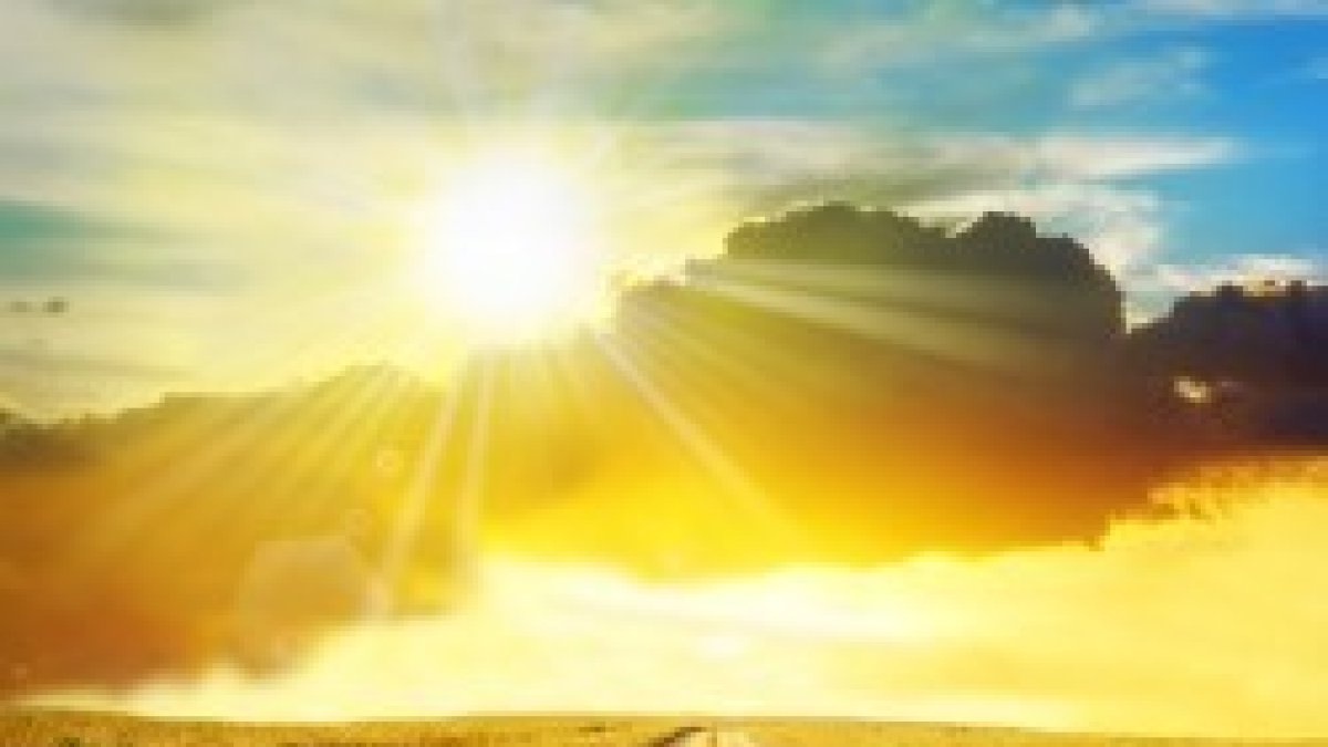 Yo soy el Camino, la Verdad y la Vida.