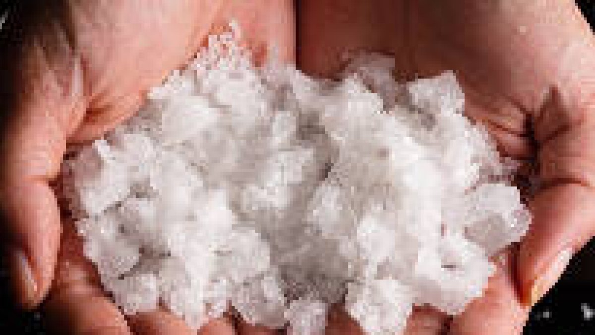 Vosotros sois la sal de la tierra