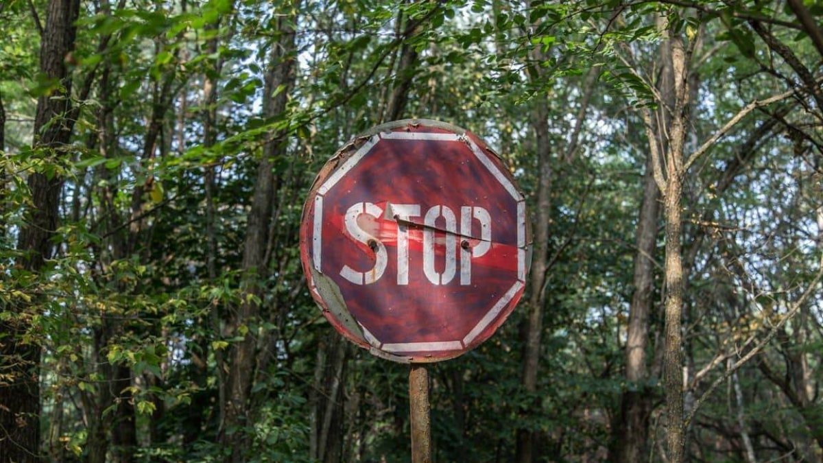 Los riesgos transhumanistas analizados por un republicano francés