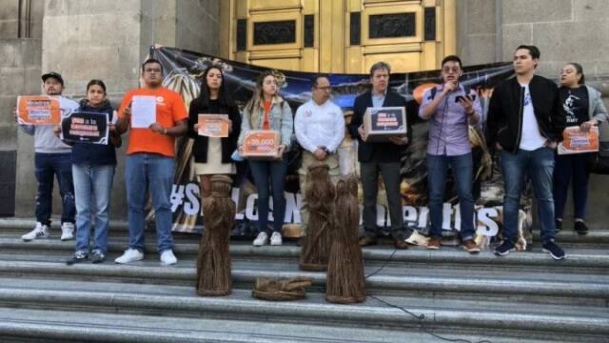 Activistas católicos de la plataforma ACTÍVATE colocaron una pancarta que representaba el nacimiento de Jesús en la puerta principal de la Corte Suprema exigiendo la legalidad de los nacimientos navideños en lugares públicos.