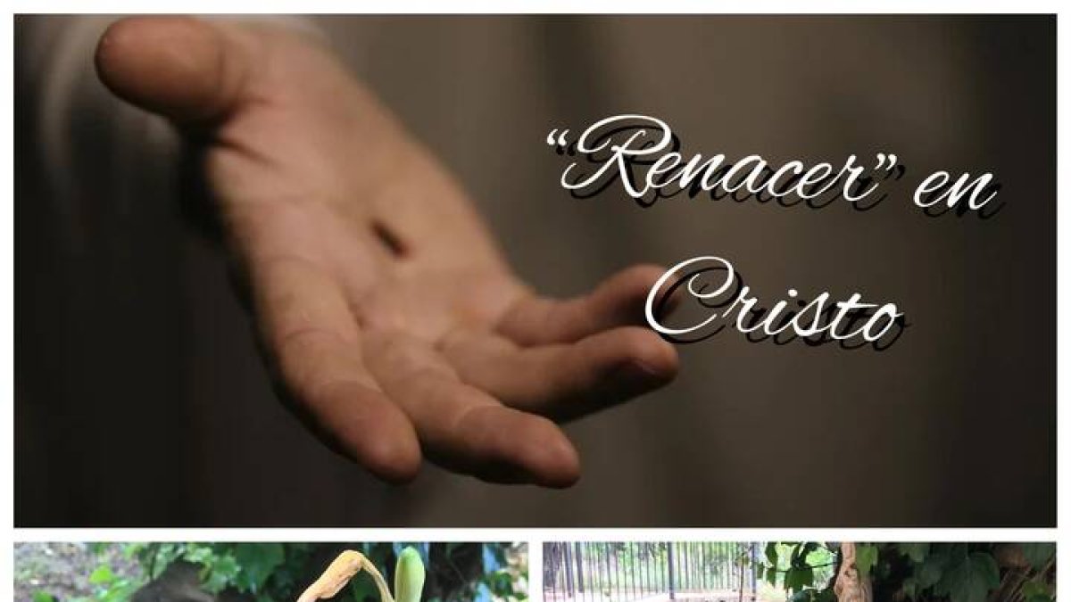 Hoy el reto del amor es que antes de empezar el día renazcas en Cristo.